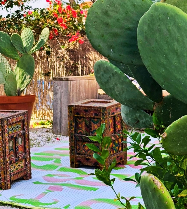 Resa Estates Ibiza Cala Tarida first line 3 bedrooms garden furniture.jpg